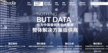 明略數(shù)據(jù) 邁向中國大數(shù)據(jù)分析應(yīng)用解決方案獨角獸的征途